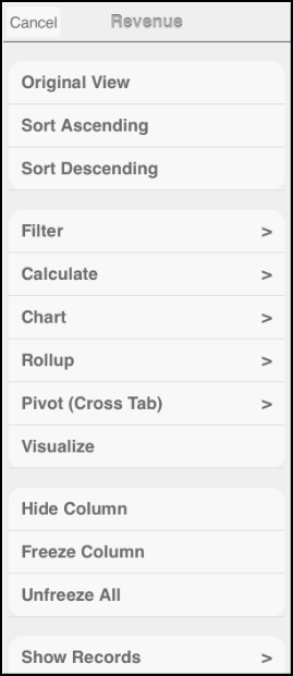 Report column drop-down menu
