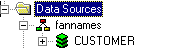 WebFOCUS fnnames data source tree diagram 