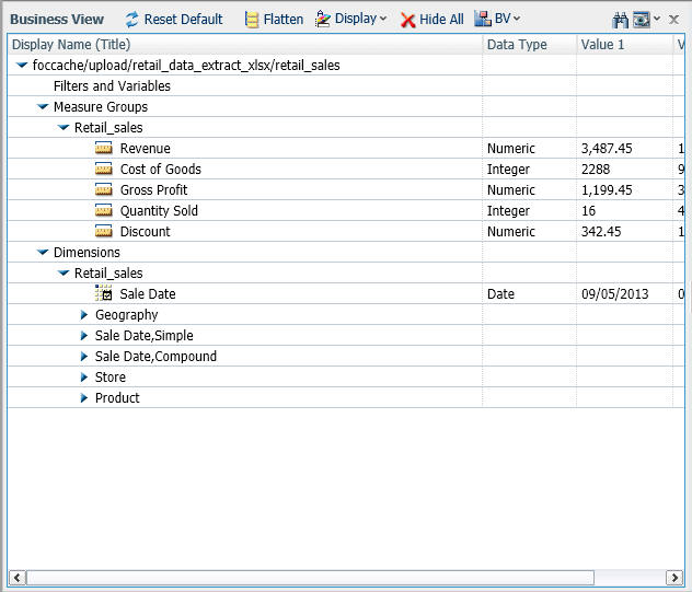 Business View Pane