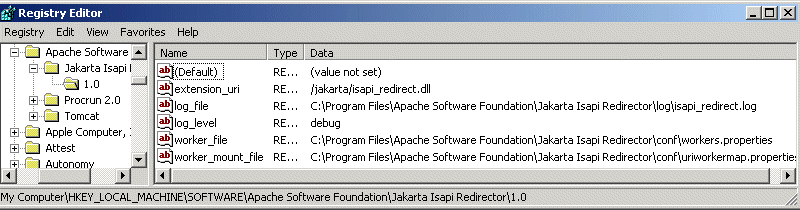 Registry editor settings