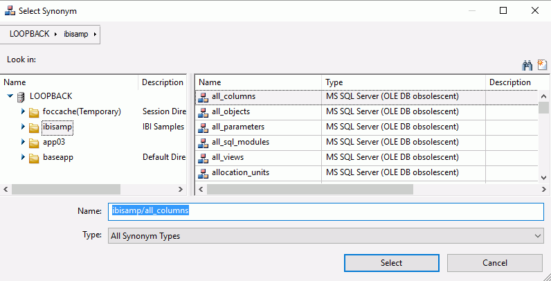 Select Synonym dialog box